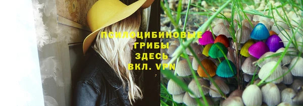 mdma Горнозаводск