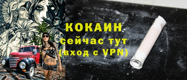mdpv Горно-Алтайск