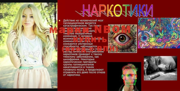 гашик Вязники