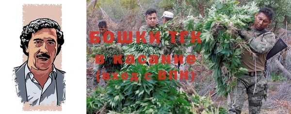 мяу мяу мука Вязьма