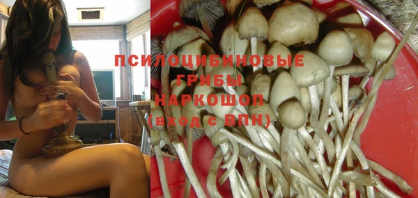гашик Вязники