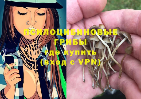 гашик Вязники