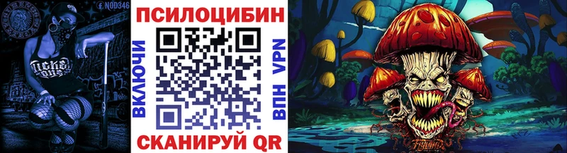 omg ссылки Дубовка Галлюциногенные грибы Psilocybine cubensis наркошоп